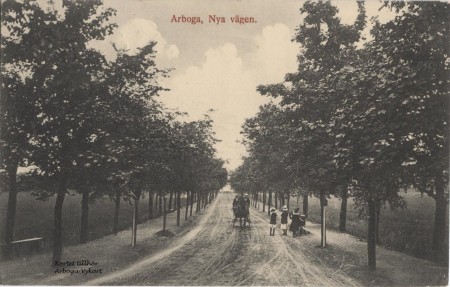 355. Nya Vägen. En nyplanterad allé kantade vägen från Kapellgatan